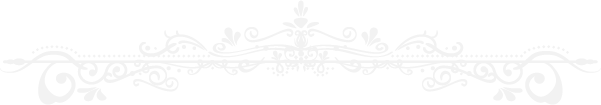 dm-header-border-f2f2f2-bottom-t