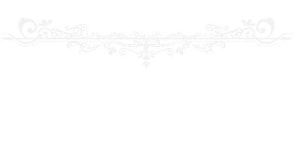dm-header-border-f2f2f2-t